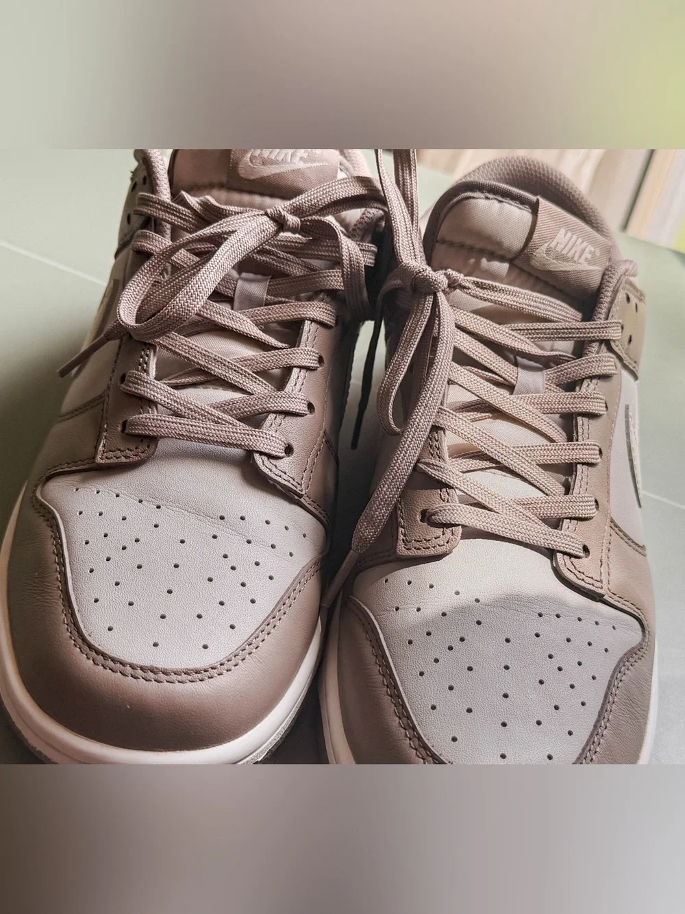 Nike Dunks Low-Top Sneakers in Taupe & White